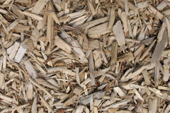 biomass boilers Sheepy Parva
